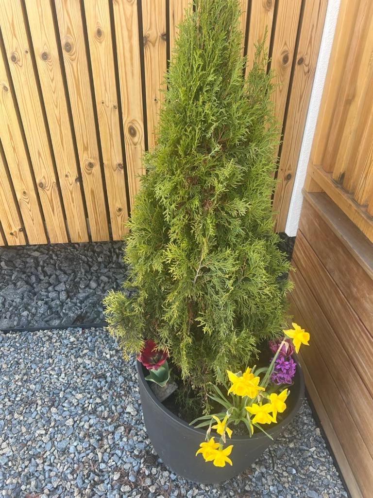 Apartmán Domcek Pod Vezami S Virivkou A Grilom, Pri Termalnom Kupalisku Liptovský Ján Exteriér fotografie